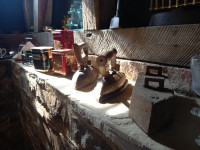 /album/2023/dorfflohmarkt-2-jpg/